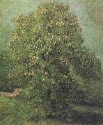 Vincent Van Gogh Chestnut Tree in Blosson (nn04) oil painting on canvas